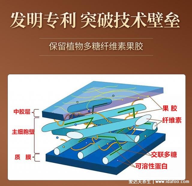 超微化果蔬膳食纖維常青通中國發(fā)明專利