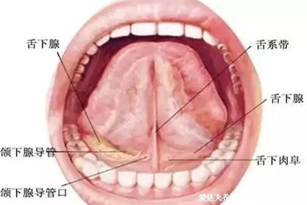 疣是什么樣子圖片，常見6種類型疣體(尋常疣/扁平疣/尖銳濕疣)