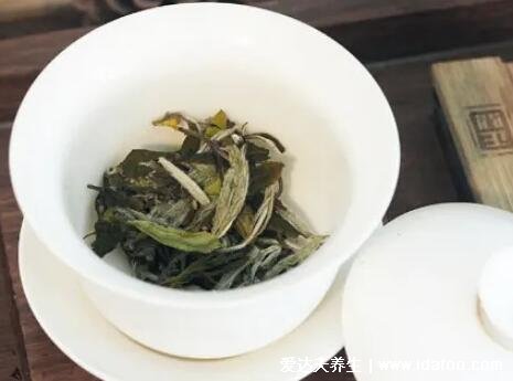 夏天喝什么茶比較好對身體，宜綠茶/菊花茶/蓮子茶等6類茶