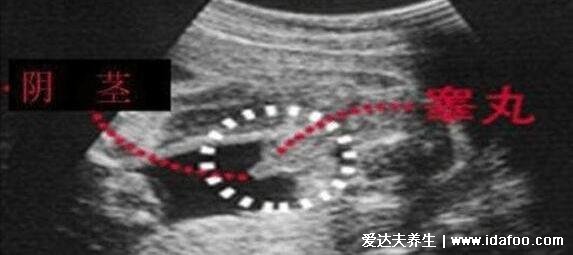 懷孕測(cè)男女最準(zhǔn)的98%表，生男生女預(yù)測(cè)表2022年清宮表