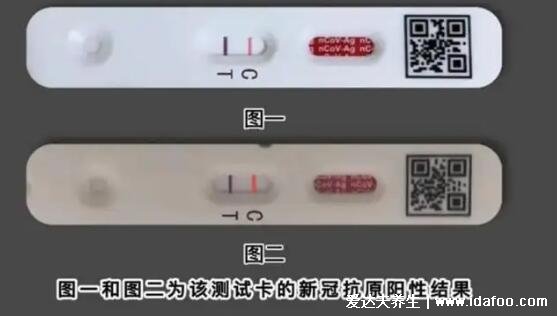 抗原檢測兩條杠什么意思，陽性但不一定感染了(核酸檢測確診)