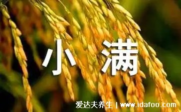 小滿時(shí)節(jié)飲食養(yǎng)生知識(shí)來啦