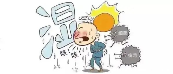 皮膚濕疹、出油多？是濕氣太重了！6月一定要多喝這碗“祛濕神湯”，安全又養(yǎng)人！