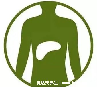 晨起1小時(shí)是養(yǎng)肝黃金期，堅(jiān)持吃四種早餐，肝臟會(huì)感激你！