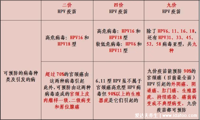 感染HPV病毒 就會惡變成宮頸癌嗎？造成宮頸癌的真正原因究竟是什么？