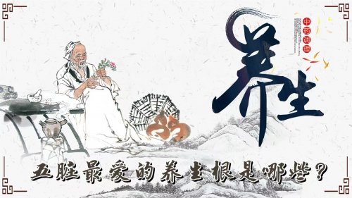 秋吃果冬吃根那么五臟最偏愛(ài)的養(yǎng)生根都是哪些